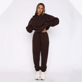 Velvet Sports Loose Hooded Pullover Top Drawstring Trousers Casual Suit