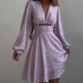 Long Sleeve V-neck Printed Dress