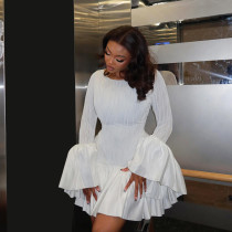 Sleeve ruffled mini dress