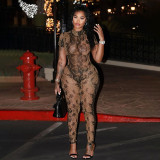 Printed Perspective Mesh Jumpsuit