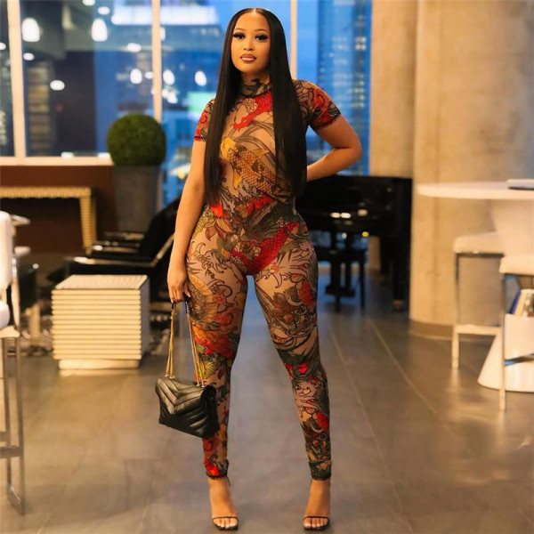 Printed Perspective Mesh Jumpsuit