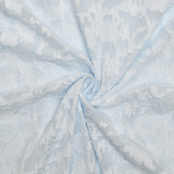 Sling Chiffon Temperament Backless Evening Dress