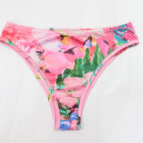 Swimsuit Printed Bikini Swimsuit Three-piece Set