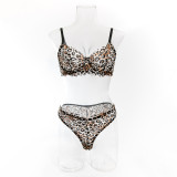 Sexy Leopard Print Lingerie Set