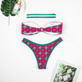 Bikini Print Split Women's Swimsuit Swimsuit