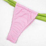 Bikini Print Split Women's Swimsuit