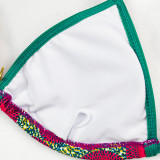 Bikini Print Split Women's Swimsuit