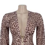 Sexy Deep V Leopard Print Slit Armband Dress
