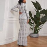 Round Neck Leopard Print Long Skirt Elegant Long Sleeve Printed Dress