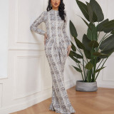 Round Neck Leopard Print Long Skirt Elegant Long Sleeve Printed Dress