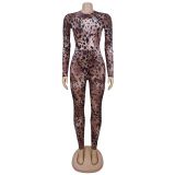 Sexy Leopard Mesh Print See-through Jumpsuit