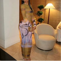 High Neck Long Sleeve Slightly See-through Long Dress