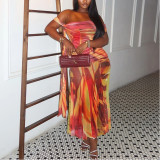 Printed Pleated Cool Hip-hugging Skirt Tube Top Slant Collar Holiday Long Dress