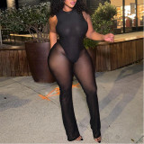 Round Neck Slightly See-through Mesh Solid Color Backless Long Jumpsuit