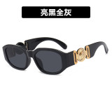 Small Frame Irregular Sunglasses