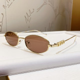 Oval Hollow Sunglasses