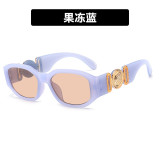 Small Frame Irregular Sunglasses