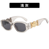 Small Frame Irregular Sunglasses