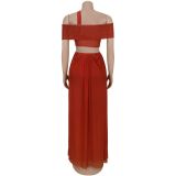 Strapless Slim-fitting See-through Mesh Dress