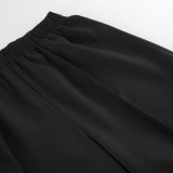 Two-piece Long-sleeved V-neck Pleated Waist Suit