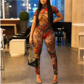 Backless Fashion Printed See-through Mesh Jumpsuit