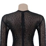 See-through Mesh Hip-hugging Dress with Rhinestones