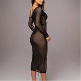 Long-sleeved Mesh Paneled Off-shoulder Mid-length Elegant Pleated Dress