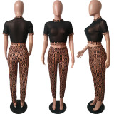 Two Piece Set Crop Top And Pants 5155