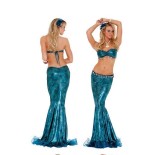 Sexy Mermaid Costume TLQZ5083