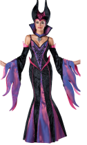 Deluxe Fairytale Witch Costume TEU958