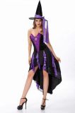 Deluxe Bewitching Beauty Witch Costume TLQZ5893