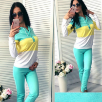2 Piece Women Hoodie Top and Pants Tracksuit (TXCL9293-2)
