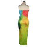 Summer Strapless Tie Dye Tube Dress