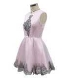 Summer Pink Sleeveless Mesh Skater Dress