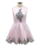 Summer Pink Sleeveless Mesh Skater Dress