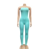 Sexy Solid Color Long Sleeve Bodycon Jumpsuit