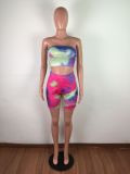Sexy Tie Dye Crop Top and Shorts Set