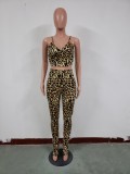 Sexy Leopard Straps Crop Top and Pants Set