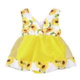 Baby Girl Summer Floral Birthday Dress