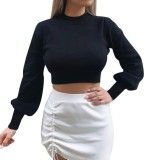 Autumn Knitted Plain Crop Top with Pop Sleeves