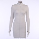 Long Sleeve Knitted Zipper Mini Dress