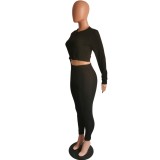 Solid Color Sexy Two Piece Tied Crop Top and Pants Set