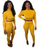 Sexy Two Piece Fitted Puff Sleeve Crop Top and Pants Set