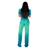 Occassional Gradient Puff Sleeves V-Neck Jumpsuit