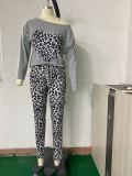 Autumn Casual Leopard Print Shirt and Pants Set