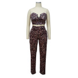 Party Sexy Leopard Strapless Crop Top and Pants Set