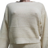 Winter Casual Knitting Plain Crop Top and Pants Set