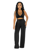 Summer Party Solid Color Halter Crop Top and High Waist Pants Set