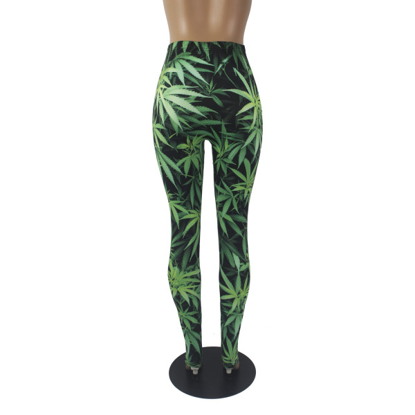 tight jogger pants