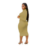 Party Sexy Plain Curvy Dress with Full Sleeves